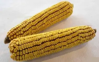 ПОВОЛЖСКИЙ 89 МВ