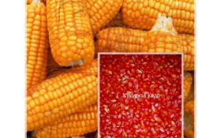 ХАРЬКОВСКАЯ 126 МВ