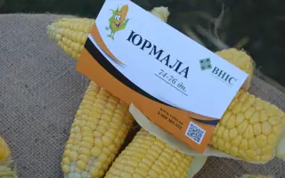 ХАРЬКОВСКАЯ 26 М