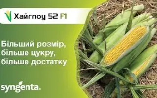 ХМВ 5327 X ХМВ 5328