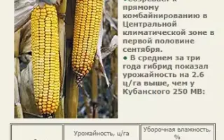 КУБАНСКИЙ 280 СВ