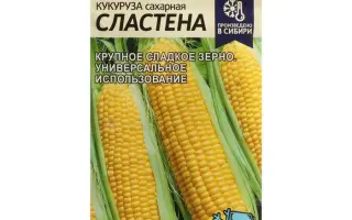 КВ 5 Г 185 X КВ 5 Г 173