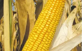 КВ 5 Г 355 X КВ 5133