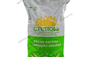 КВ 5 Ф 248 X КВ 5 Ф 279