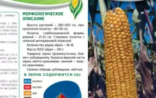 КВ 5 Г 355 X КВ 5 Г 384