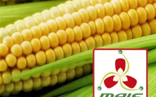 ПРЕМИЯ 190 МВ