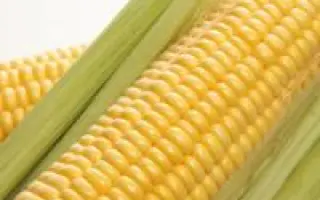 ЕС КРИСТЭЛЬ