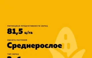 БЕЛОЗЕРНЫЙ 330