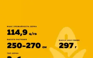 КРАСНОДАРСКИЙ 575 МВ