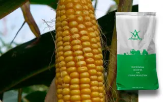 ПОРУМБЕНЬ 171 СВ