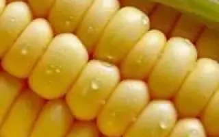 ЕС ИНБЕРРОУ