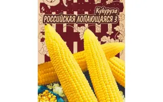 РОССИЙСКАЯ ЛОПАЮЩАЯСЯ 3