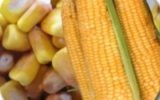 ПОРУМБЕНЬ 295 АСВ