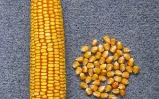 ПОВОЛЖСКИЙ 188 МВ