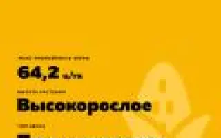 САМБЕЗ 175 МВ