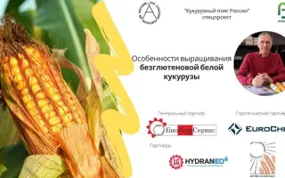 УРВАНСКАЯ БЕЛАЯ