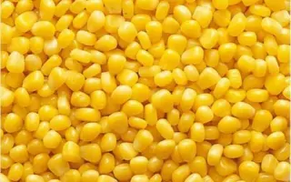 ПРОГНОЗ 152 СВ