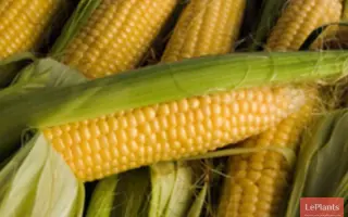 ПОРУМБЕНЬ 173 СВ