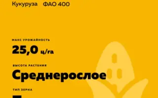 КРАСНОДАРСКИЙ ЛОПАЮЩИЙСЯ 400