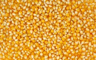 ЗЕРНОГРАДСКИЙ 282 МВ