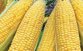 ПРИНЦЕССА БЕЛОГОРЬЯ