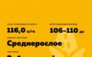 ПОРУМБЕНЬ 348 АМВ