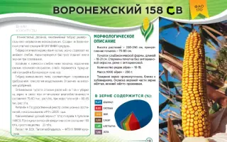 ВОРОНЕЖСКИЙ 158 СВ