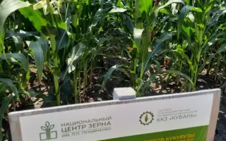 КРАСНОДАРСКИЙ 410 МВ