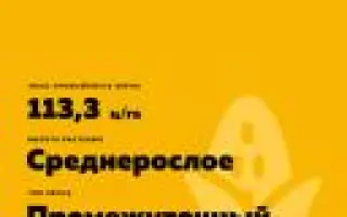 КАВКАЗ 307 МВ