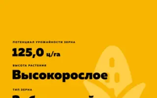 ПОРУМБЕНЬ 293 АМВ