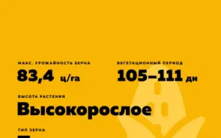 КИНБЕЛ 181 СВ