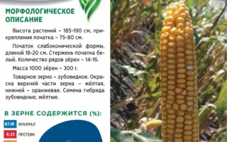 САМБЕЗ 165 МВ