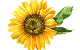 НОБИЛЛИС КЛП