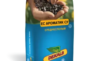 ЕС АРТИСТИК