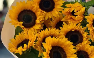 Ф 7 ЕВ 2 МИА Х Ф 7 ЕВ 11 МИ