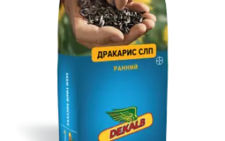 ДРАКАРИС СЛП