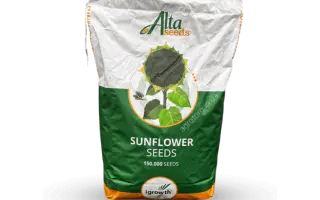 ХАЙСАН 238 ИТ