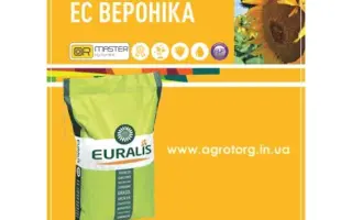 ЕС ВЕРОНИКА