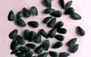 САРАТОВСКИЙ 85