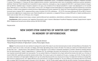 ПАМЯТИ КРИВОБОЧЕКА