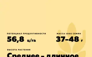 ПРИИРТЫШСКАЯ 2