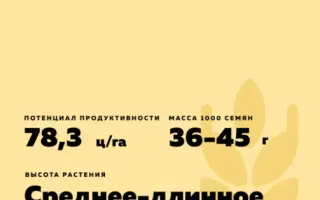 УНИВЕРСИАДА