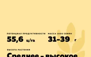 ОБСКАЯ ОЗИМАЯ