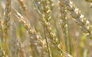 ХАРЬКОВСКАЯ 92