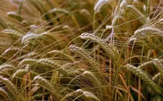 МОСКОВСКАЯ 70