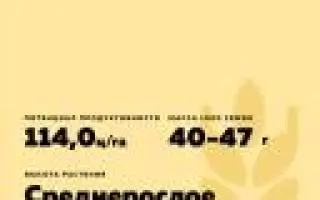 КАМЫШАНКА 6