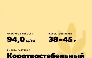 ПАМЯТИ ФЕДИНА