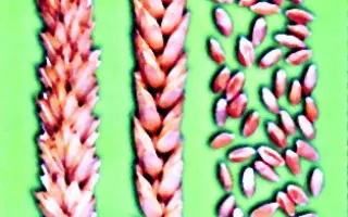 САРАТОВСКАЯ 90