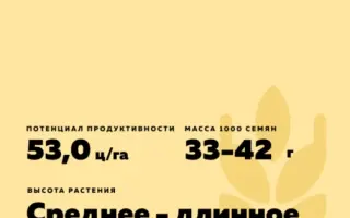 КОЛОС ОРЕНБУРЖЬЯ