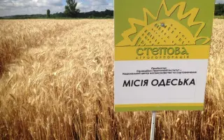 МИСИЯ ОДЭСЬКА